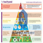 Food Pyramid